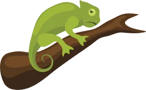 Green Chameleonon Branch PNG Image