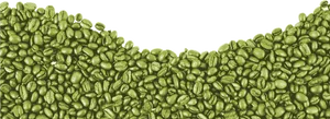 Green Coffee Beans Wave Pattern PNG Image