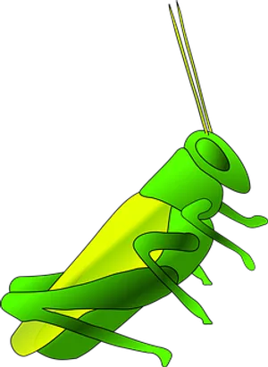 Green Cricket Illustration PNG Image