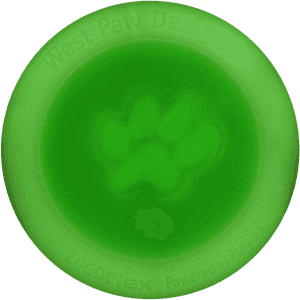 Frisbee Png - Carlac, Transparent Png PNG