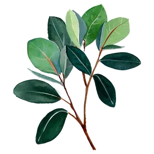 Green Eucalyptus Watercolor Illustration Png Iyo PNG Image