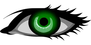 Green Eye Illustration PNG Image