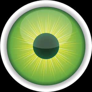 Green Eyeball Illustration PNG image with transparent background