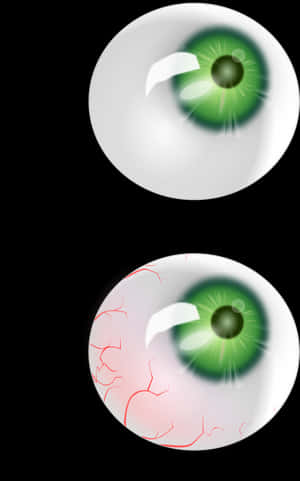 Green Eyeball Illustration PNG image with transparent background