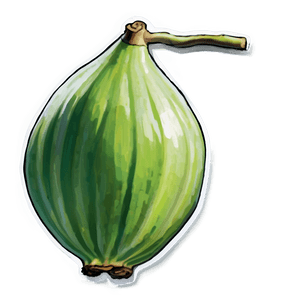 Green Fig Artwork PNG clk PNG