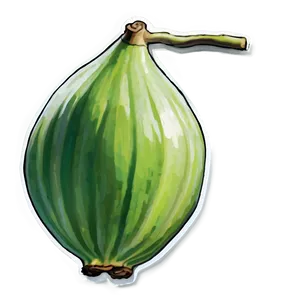 Green Fig Artwork Png Clk PNG Image