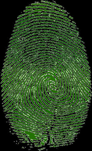 Green Fingerprint Pattern PNG image with transparent background