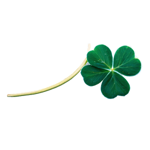 Green Four Leaf Clover PNG 05252024 PNG