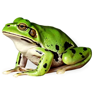 Green Frog Clipart Png Ele PNG Image