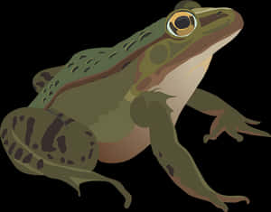 Green Frog Illustration PNG image with transparent background
