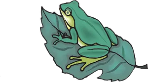 Green Frog On Leaf Illustration PNG Image