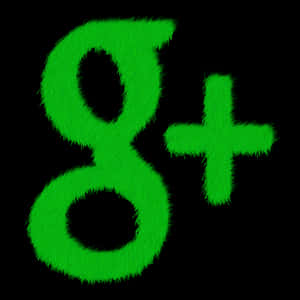 Green Fuzzy Google Plus Logo PNG image with transparent background
