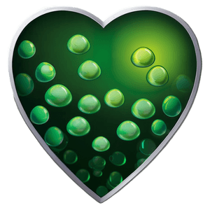 Green Gradient Heart Icon PNG 06262024 PNG with transparent background