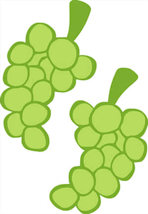 Green_ Grape_ Clusters_ Vector_ Illustration PNG image with transparent background