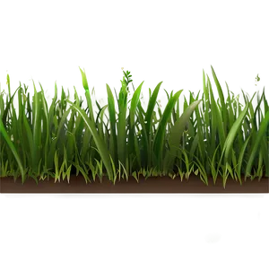 Green Grass Clipart Png Jaw64 PNG Image