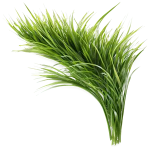 Green Grass In Wind Png 06262024 PNG Image