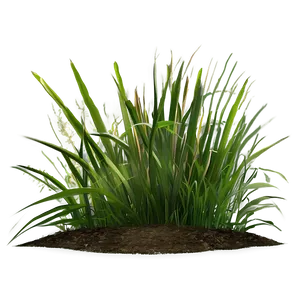 Green Grass Patch Png 26 PNG Image