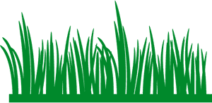 Meadow PNG Pic PNG image with transparent background