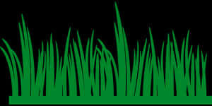 Green Grass Silhouette Vector PNG with transparent background