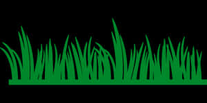 Green Grass Silhouetteon Black Background PNG with transparent background
