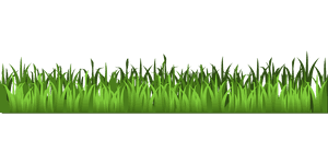 Spring Meadow PNG Photo PNG image with transparent background