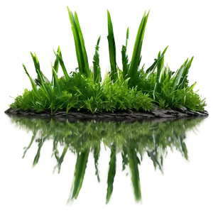 Green Grass Underfoot Png Ldv PNG Image