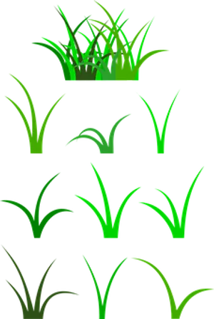 Green Grass Vector Illustration PNG Image