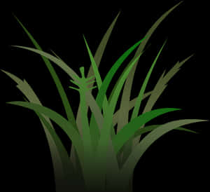 Green Grass Vector Illustration PNG with transparent background