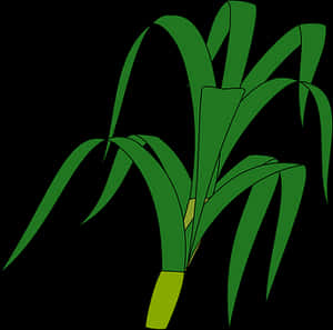 Green Grass Vector Illustration PNG image with transparent background
