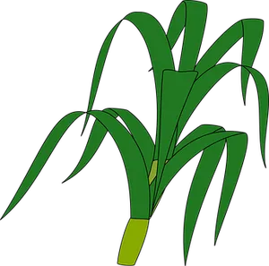 Green Grass Vector Illustration PNG Image