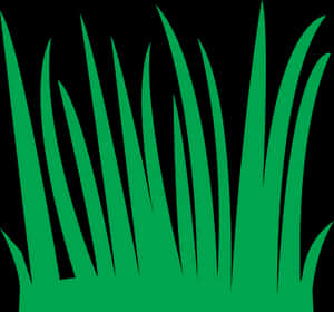 Green Grass Vector Illustration PNG image with transparent background