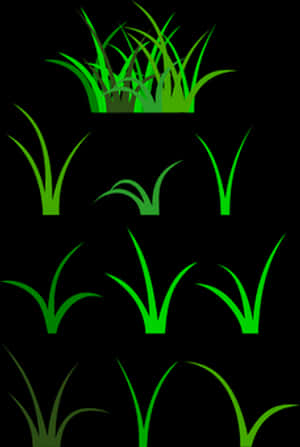 Green Grass Vector Illustration PNG image with transparent background