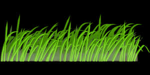 Green Grass Vector Illustration PNG image with transparent background