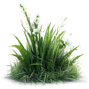 Green Grass With Flowers Png 94 PNG Image