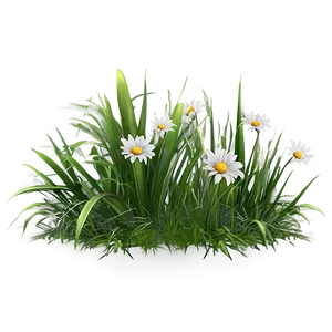 Green Grass With Flowers Png Wiw PNG Image