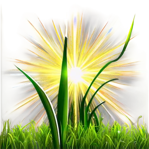 Green Grass With Sun Rays Png Qmi85 PNG Image