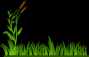 Green Grassand Reeds Vector PNG with transparent background