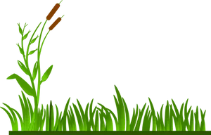 Green Grassand Reeds Vector PNG Image