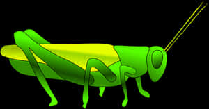Green Grasshopper Illustration PNG image with transparent background