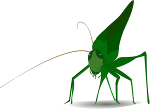 Green Grasshopper Illustration PNG Image