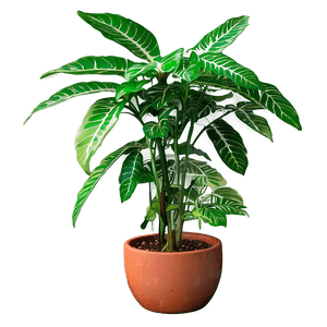 Green Hanging Plant PNG 05252024 PNG image with transparent background