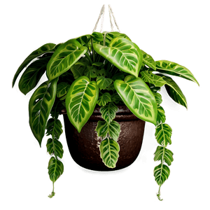 Green Hanging Plant PNG 05252024 PNG image with transparent background