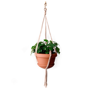 Green Hanging Plant PNG jqm45 PNG image with transparent background
