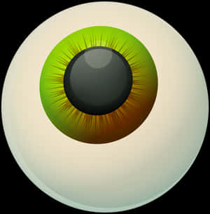 Green Hazel Eyeball Illustration PNG image with transparent background