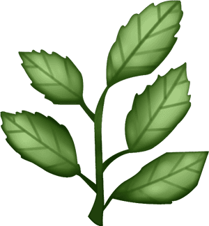 Herb Png Clipart - Herb Emoji Png, Transparent Png PNG with transparent background