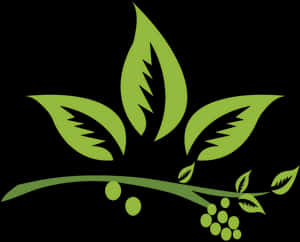 Jpg Transparent Library Herb Vector - Medicinal Plants PNG