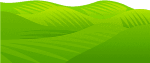 Meadow Greenscape Transparent PNG PNG image with transparent background