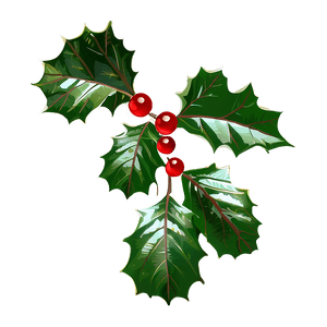 Green Holly Leaves PNG ijy PNG