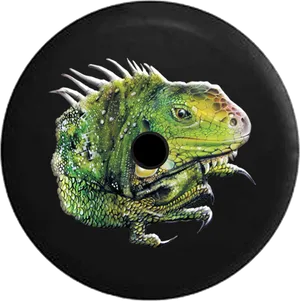 Green Iguana Vinyl Record Art PNG Image