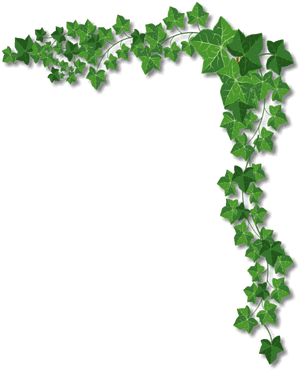 Transparent Corner Designs Png - Transparent Background Ivy Border Png, Png Download PNG with transparent background